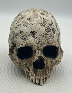 Life Size Stone Ornamental Human Skull AC10