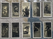 ORIGINAL SET OF CARRERAS, A KODAK AT THE ZOO, 2ND SERIES, ISSUED 1925, SET OF 50
