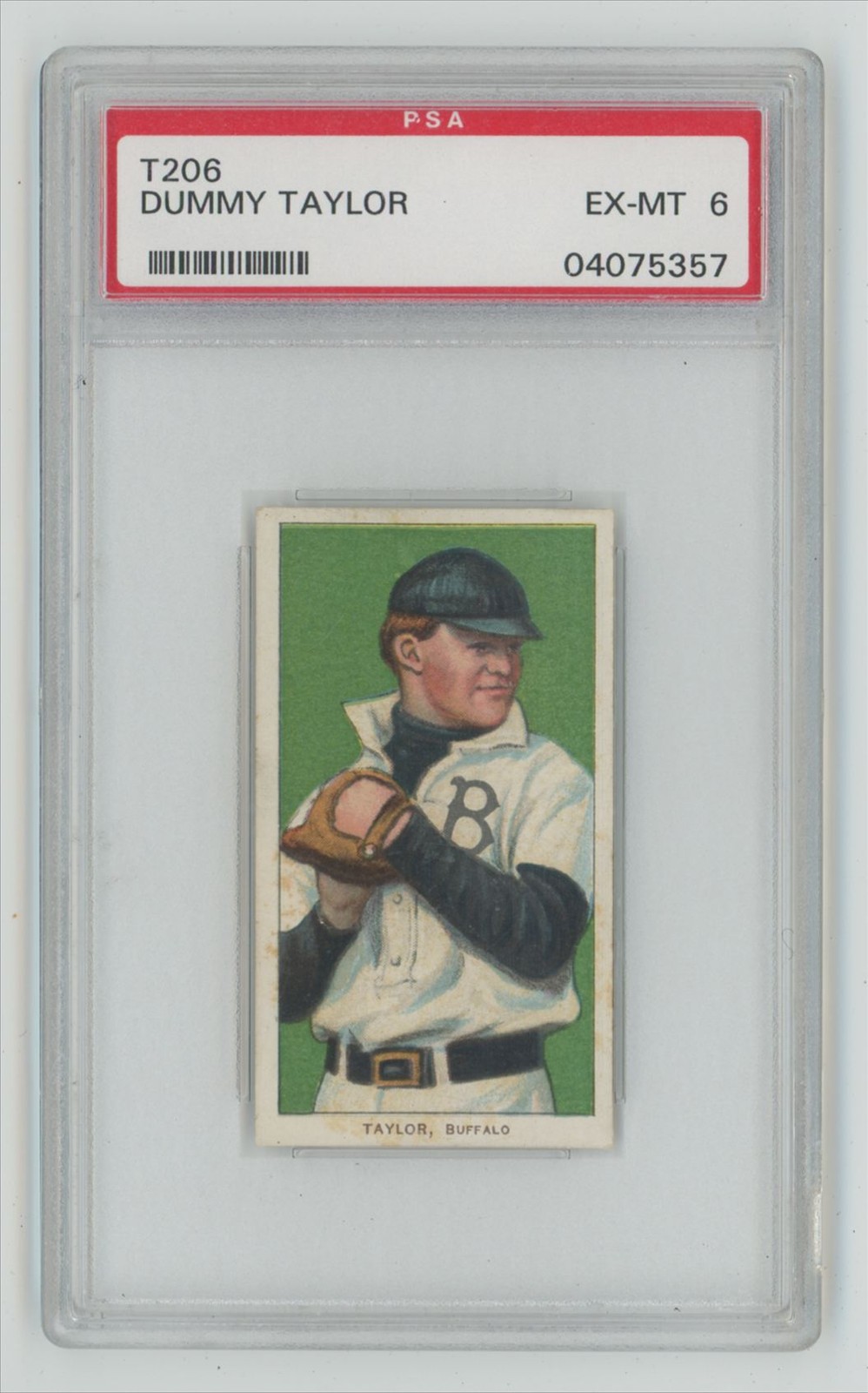 1909 T206 WHITE BORDER DUMMY TAYLOR PSA 6 BUFFALO BISONS POP 3 W/ NONE HIGHER