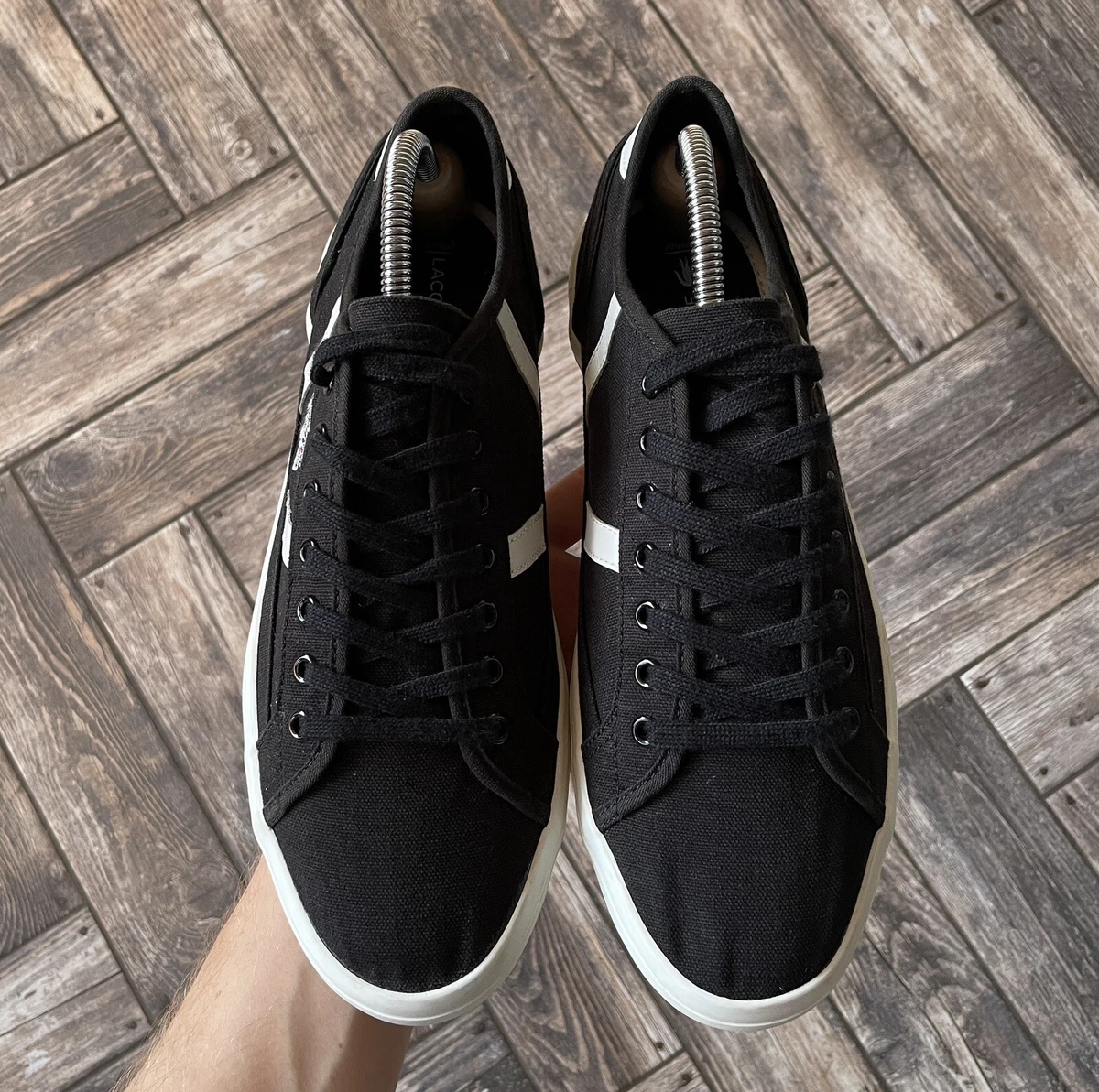 Lacoste keds on sale