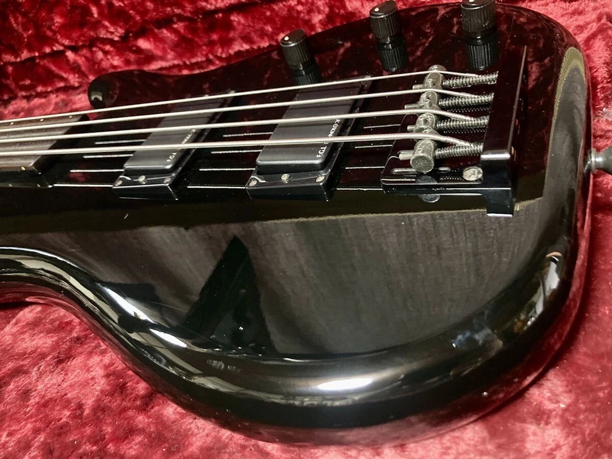Fretless on sale bass ebay