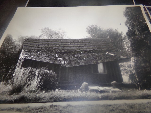 Picture 5 of 14