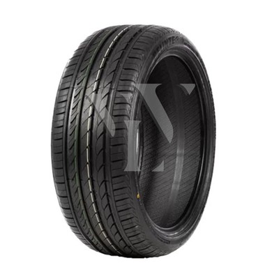 Sommerreifen DELINTE DH2 205/55 R16 91 V