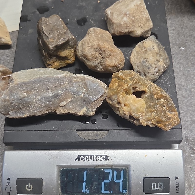 Mixed Chert, Agatized, Banded, Rough Cabbing Lot, 6 Pieces, 1lb 2.4oz