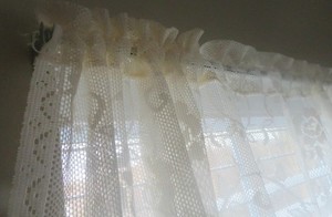 ONE Floral Lace Curtain Panel Stylized Daffodii Flowering Vine Netting  62W 64 L