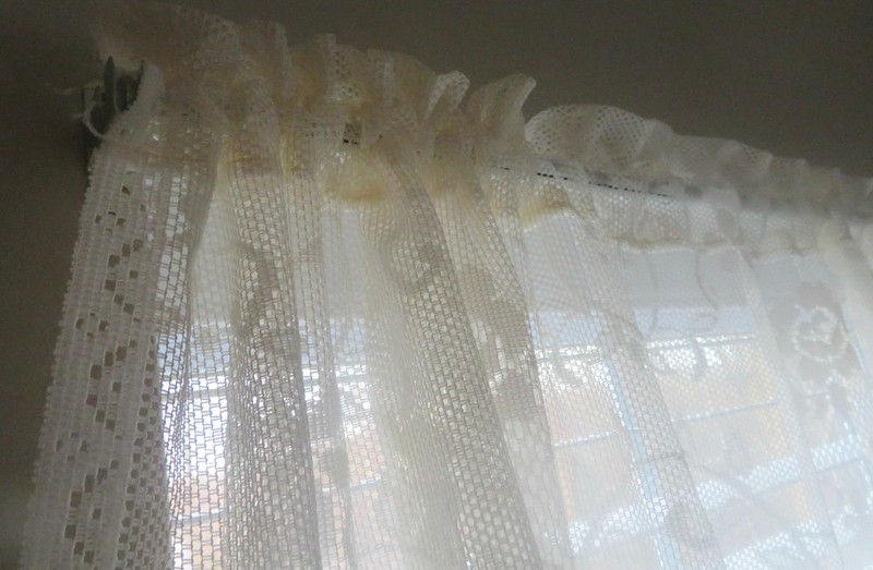 ONE Floral Lace Curtain Panel Stylized Daffodii Flowering Vine Netting  62W 64 L