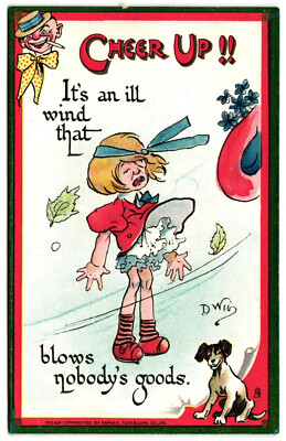 Postcard CHEER UP It's an ill wind Comic Dry Humor DWIG Tuck