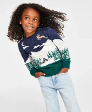 Holiday Lane Toddler Girls Size 4T Snowy Landscape Crewneck Sweater Blue $40 143