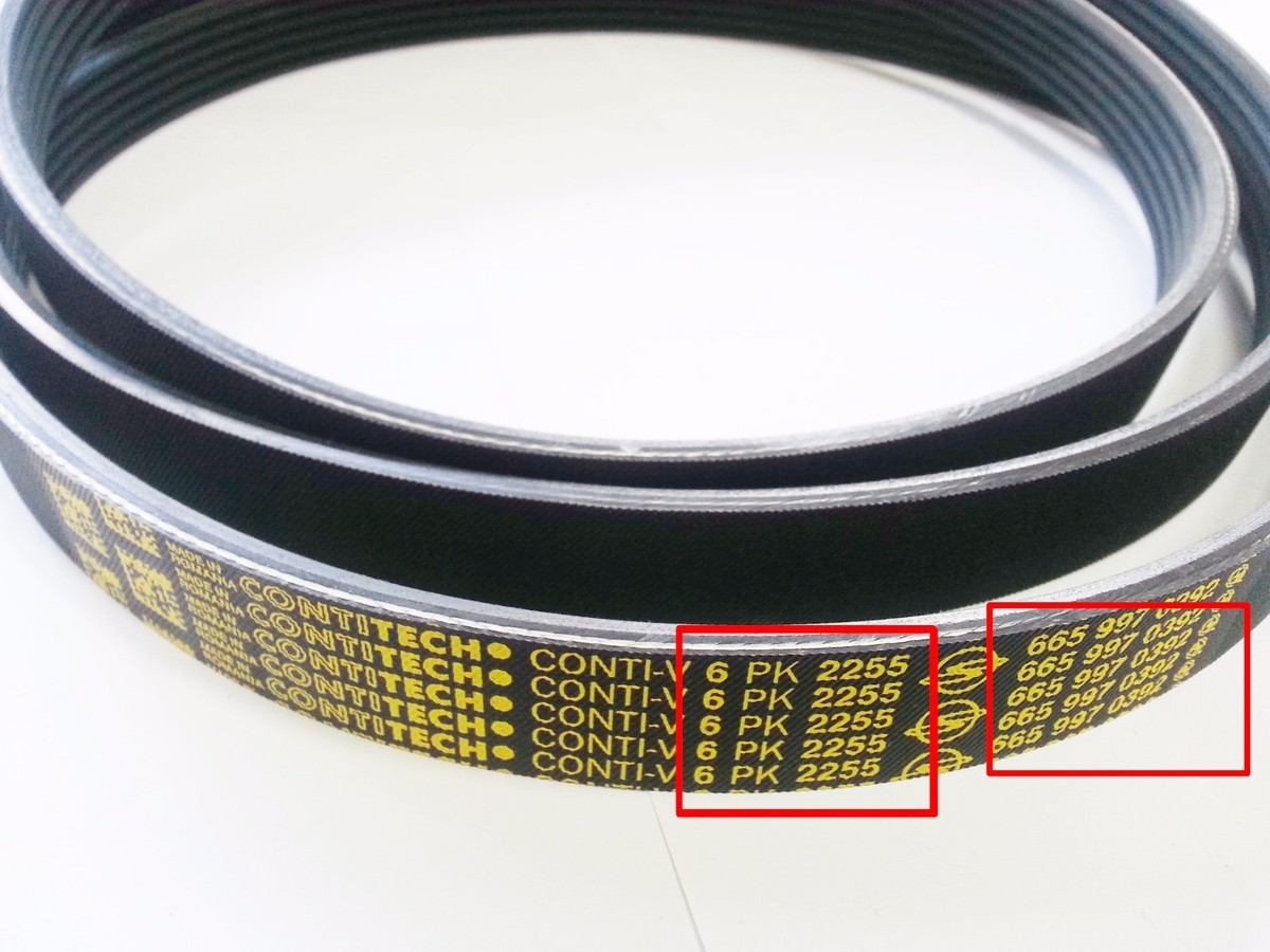 OEM DSL 6PK 2255 Grooved Poly Belt Ssangyong Rodius Stavic