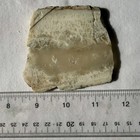 OREGON STINKING WATER PLUME AGATE SLAB ~58 grams / rough jasper mineral rock cab — photo 8