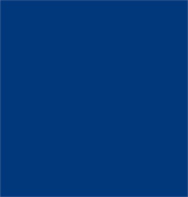 Dachfarbe 3in1 Metallschutzlack Dach Schutzlack Sockelfarbe Dachbeschichtung