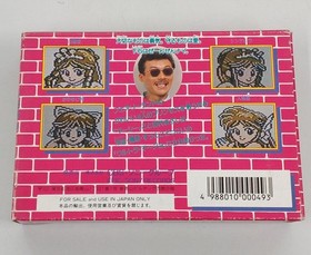 CBS Sony Masashi Tashiro's Princess Full Famicom Software