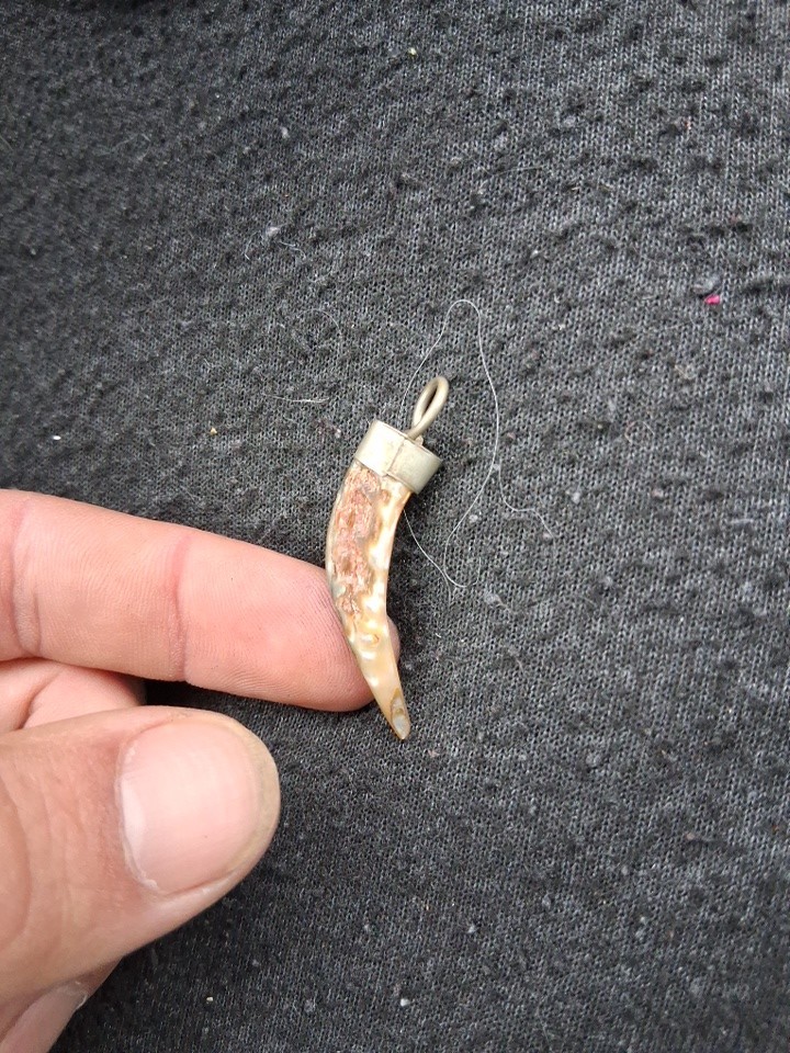 Abalone Horn-Shaped Multicolor Shell Pendant Amul… - image 13