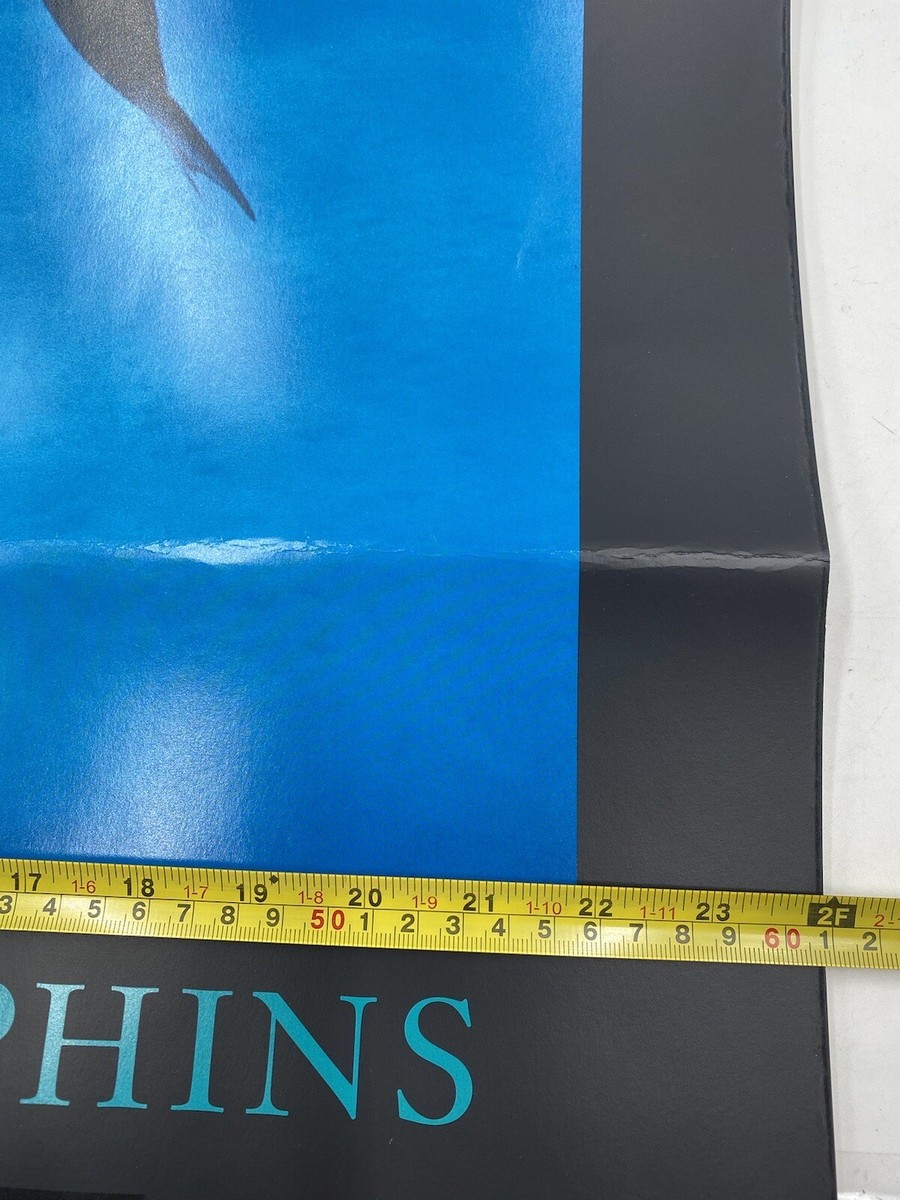『Danse des Dauphins, 1989』 Bob Talbot _12.JPG?set_id=880000500F
