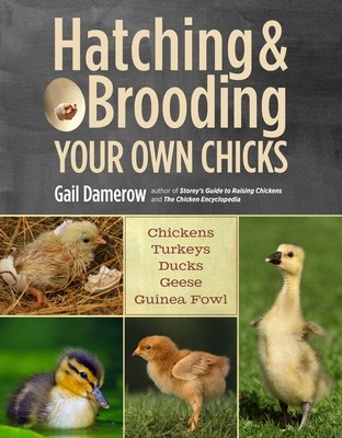 Hatching & Brooding Your Own Chicks Chi Gail Damerow Paperback