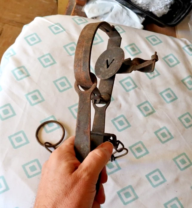 RARE Vintage Antique Cast Iron Steel Animal Trap & Chain Elk EARLY Wolf Wild NR - Image 2 of 3