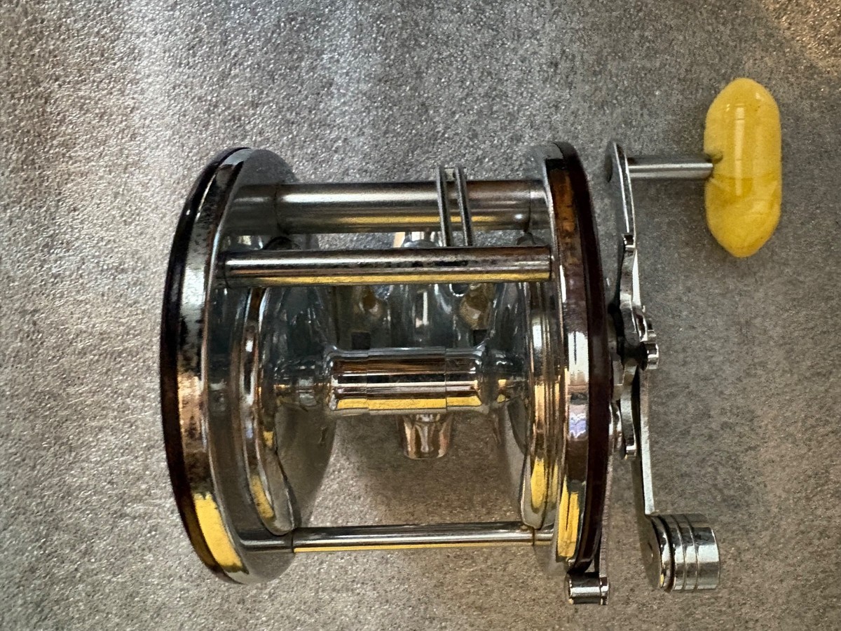 daiwa 2000 spinning reels Daiwa Fuego Lt 2000 Spinning Reel