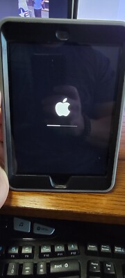 Apple iPad mini 2 32GB, Wi-Fi, 7.9in - Black | eBay