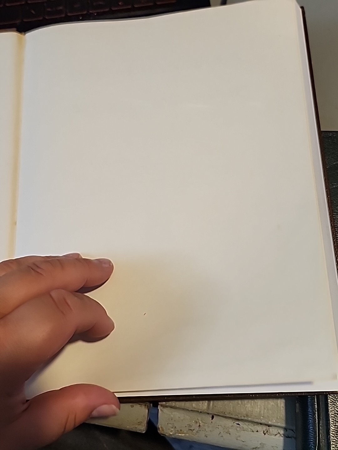 Picture 4 of 8