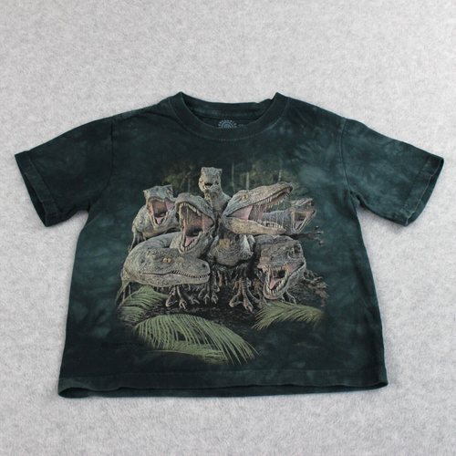 The Mountains Shirt Kinder Größe Small Dinosaurier Grafik Tye Dye Tier Natur