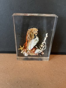 Souvenir Resin Marine Life Barbados Wisconsin