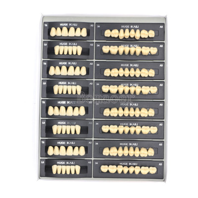 Dental Synthetic Polymer Teeth Resin False Fake Denture T8-A3 Occlusal Surface
