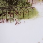 Picture 5 of 13