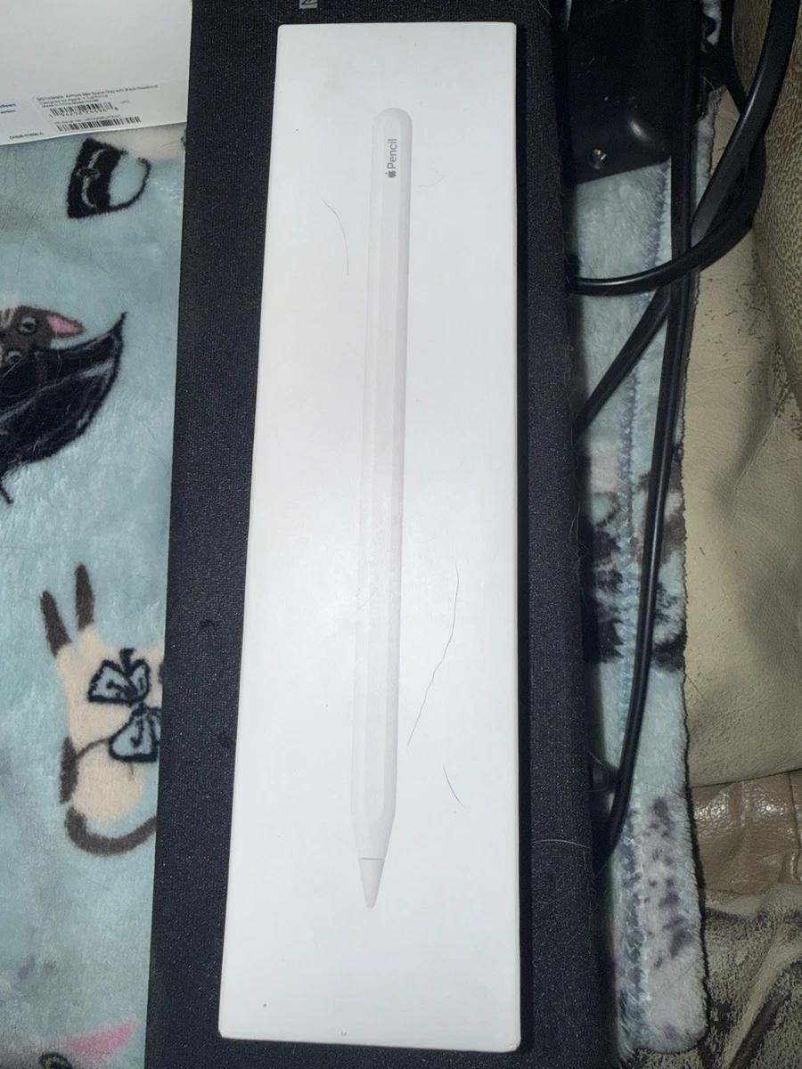 Apple Pencil(第2 代) | eBay