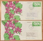 Hong Kong stamps airletter KAI TAI postmark FDC X 2
