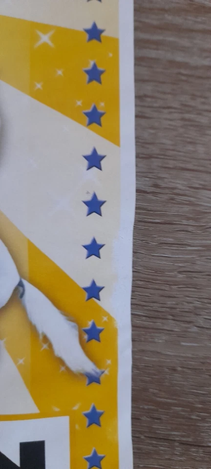 Circusplakat - Circus Sensationell in Barrien (Syke) 2025 - Bild 2 von 4