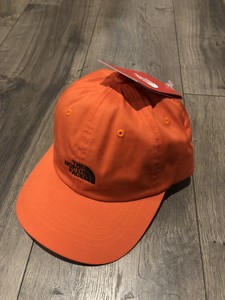 the north face 1966 cap