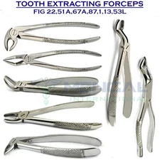 Oral Surgery Tooth Extraction Forceps Surgical Dental Teeth Extracting Forceps