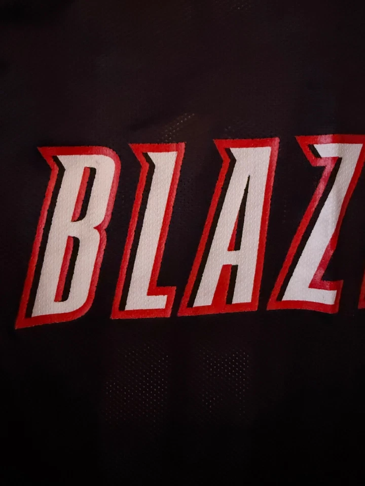 Rasheed Wallace 30 NBA 波特兰开拓者队球衣 尺寸 M OG 锐步 — 第 3/4 张图片