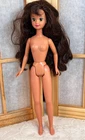 Vintage Courtney Skipper Barbie Friend Doll Long Brown Hair Green Eyes NUDE