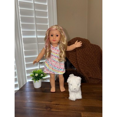 American Girl Doll Blonde Pink Highlights Green Eyes Star Dress & Dog Fair