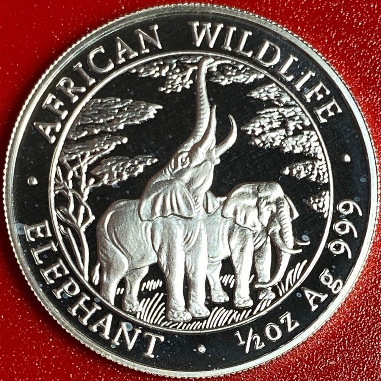 Picture 4 of 12