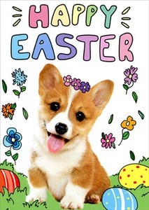 happy easter puppy