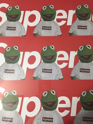 Supreme X Kermit FAIRCHILD PARIS BOX LOGO Hypebeast Poster IN