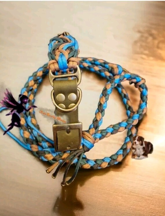 Collier chien paracorde fait main design luxe boucle acier inoxydable
