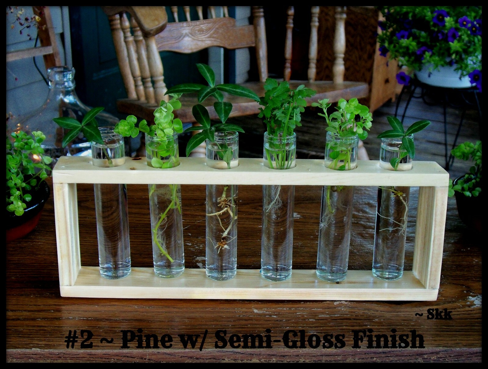 Handmade Rustic 6 Glass TUBE Plant Propagation Starter Station System