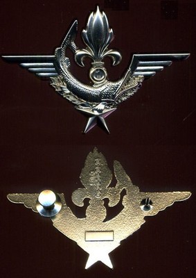 LEGION + GENIE / 1° REG FOS TAUCHERPATENT - IMC