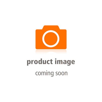 Bosch PFS 5000 E Farbsprühsystem (0603207200)