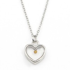 Stainless Steel Clear Heart Faith of a Mustard Seed Necklace Matthew 17:20