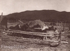 1900/72 Vintage EDWARD CURTIS Photo Gravure Native American Indian Horse Corral