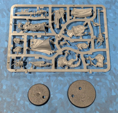 Lord-Veritant und Gryph-Crow - Stormcast Eternals - Warhammer Age Of Sigmar