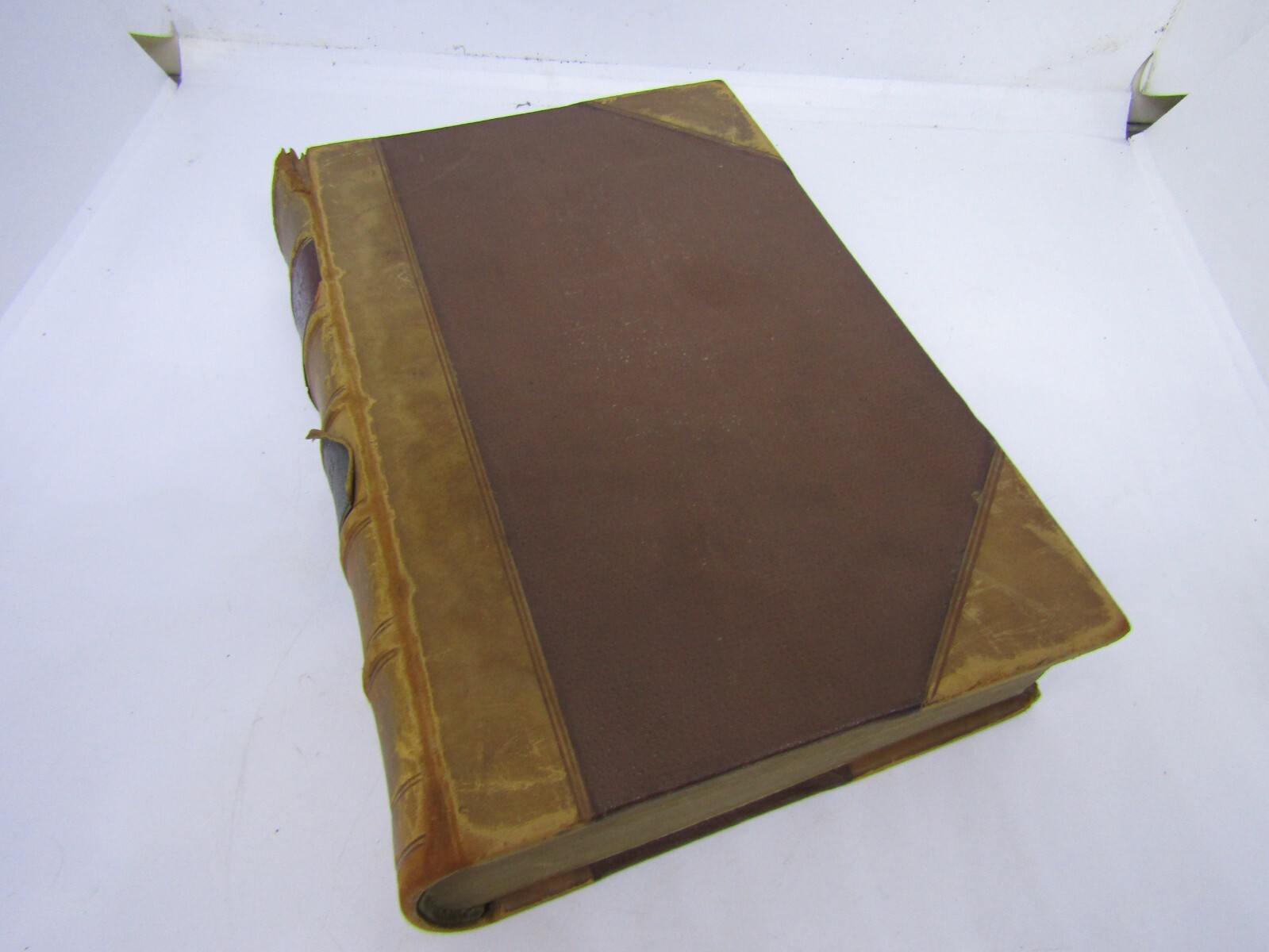 Picture 3