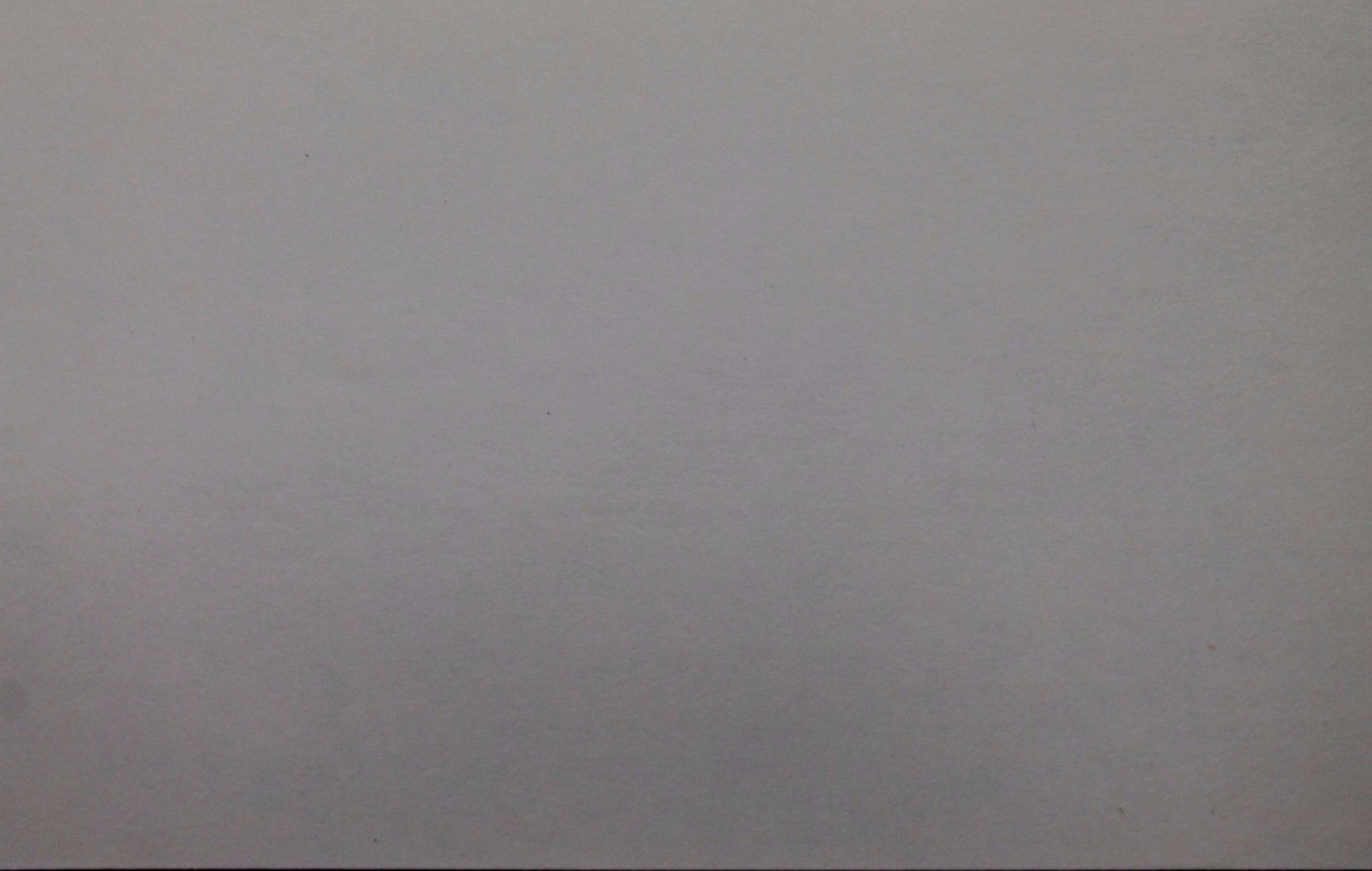 Picture 2 of 4