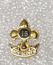 Gold Fleur des Lis 15 Year Volunteer Service Award Boy Scouts Larger Version Y15