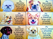 Fun Dog Magnets "My Dog is Smarter Than" Pet Lovers Home School Car 11 Varieties