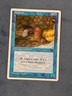 Sinbad, Fourth Edition, Magic the Gathering MTG